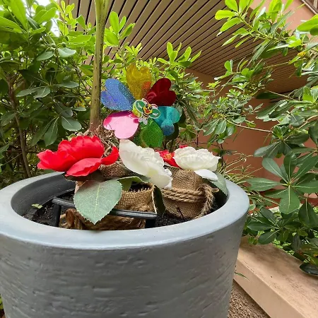 Baia Sole Suite-Con Piscina E Giardino